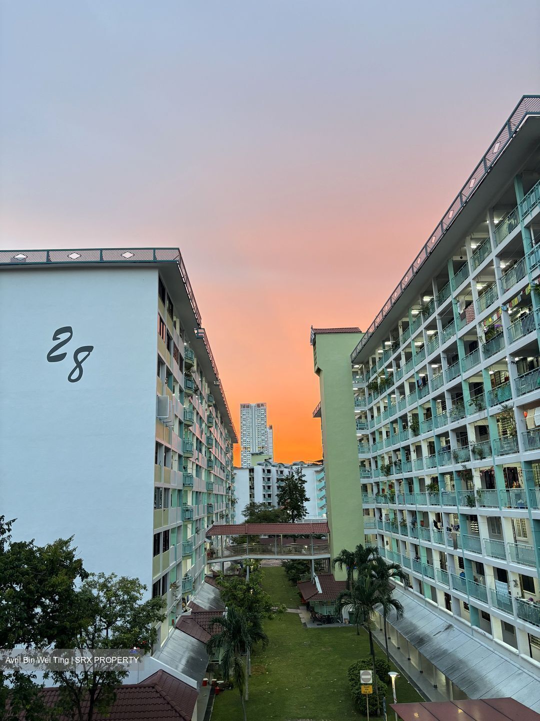 Blk 20 Jalan Klinik (Bukit Merah), HDB 3 Rooms #563269581